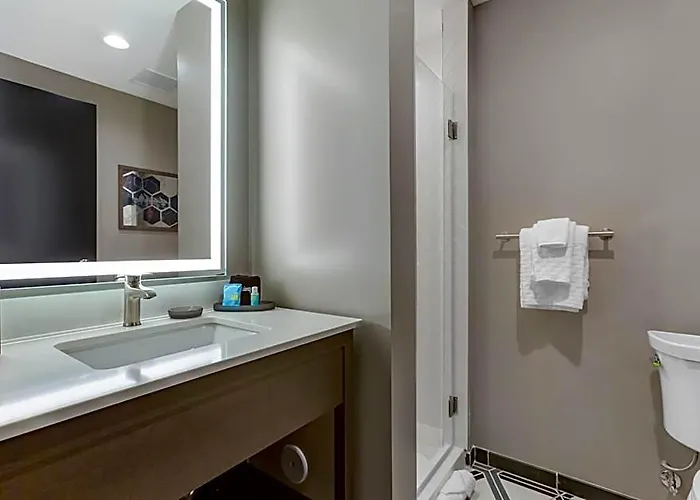Hotel Vib By Western Phoenix -